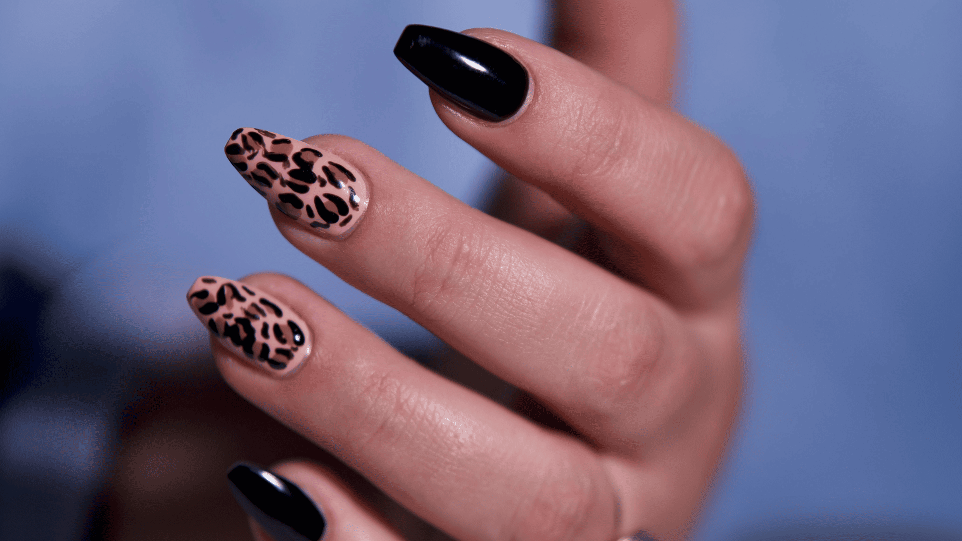 Unhas 3D